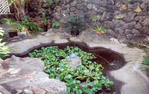 Zen Garden