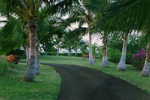 Drive way