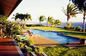 Pool and lawn
