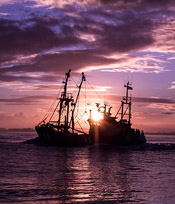Terneuzen