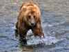 Luxurious tour of Alaska