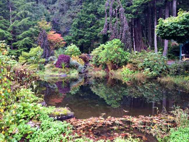 Glacier Gardens, Juneau, Alaska, USA