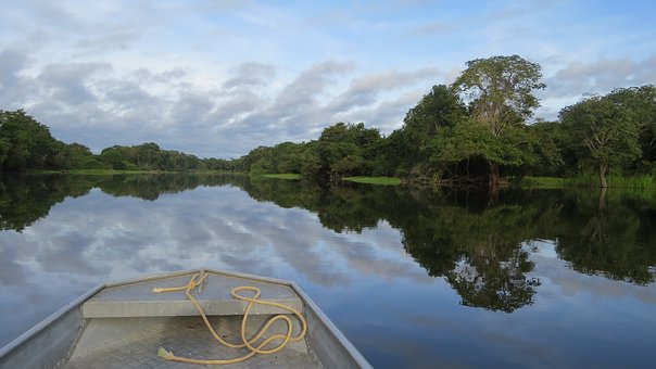 Amazonas