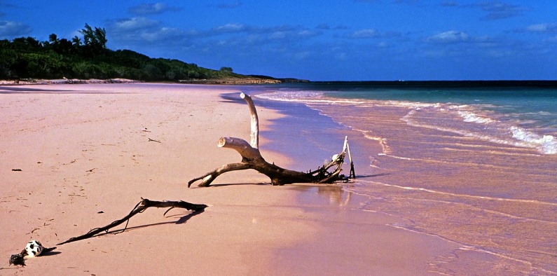 Pink Sand Beach, Barbuda Pink Sand Beach, Barbuda