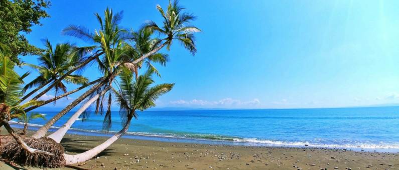 Caribbean and Costa Rica