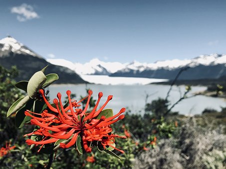 El Calafate