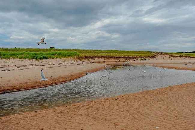Cavendish Beach, Prince Edward Island