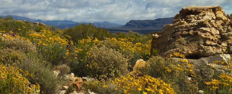 Cederberg, South Africa