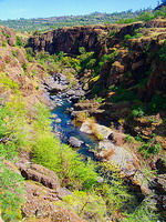 Chico, CA travel guide
