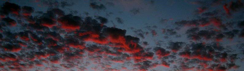 Corte Madera at dawn