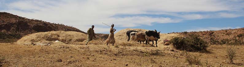 Eritrea, Africa