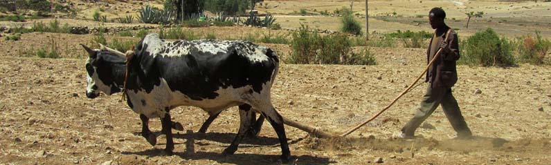 Ethiopia travel and lodging guide