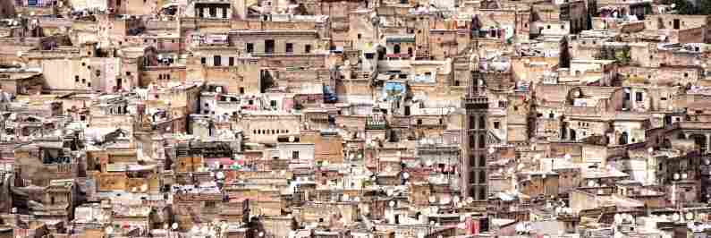 Tannery in Fez, Morocco
