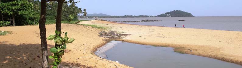 French Guiana beach