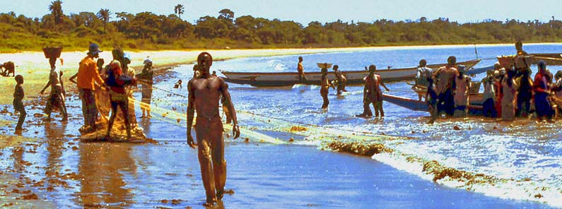 Pulling in the catch of the day in Gambia - image by Mike McBey on Flickr