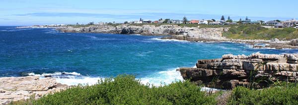 Hermanus