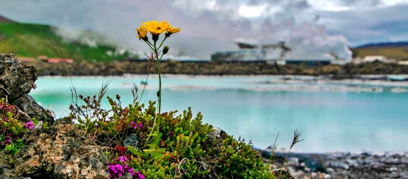 Blue Lagoon, Grindavik, Iceland 
