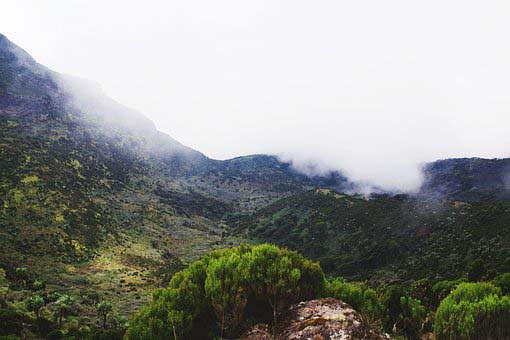 Mount Kenya