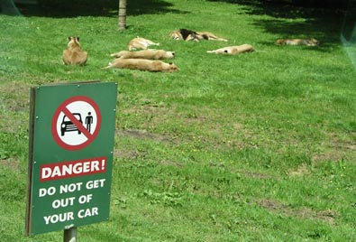 Longleat Safari Park