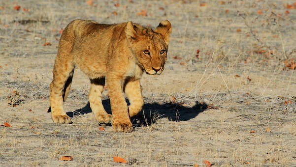 Namibia