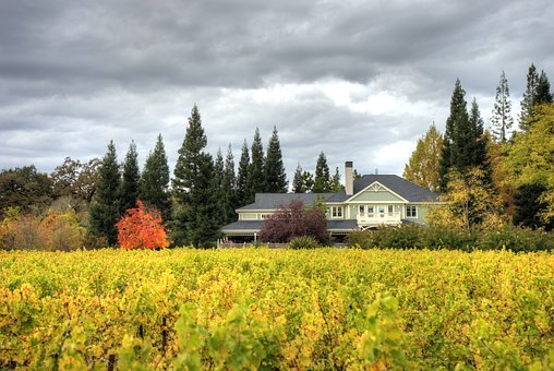 Napa Valley Napa Valley