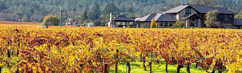 Napa Valley, California, USA