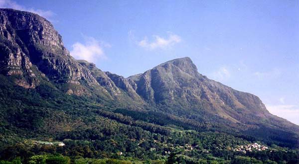 Newlands views