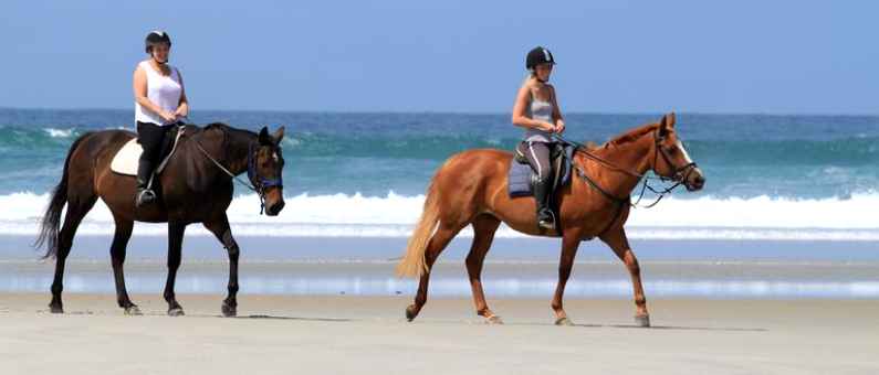 Horseback riding in New Zealand Horseback riding in New Zealand