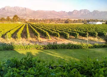 Paarl, Cape Winelands, South Africa