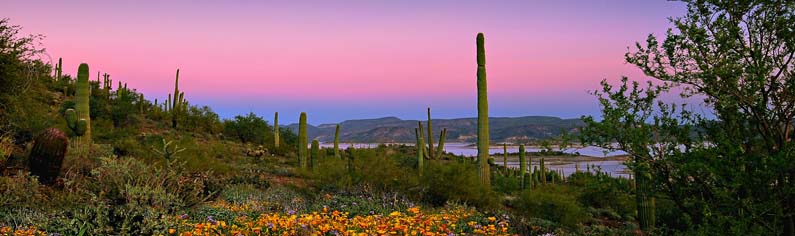 Peoria, AZ, USA