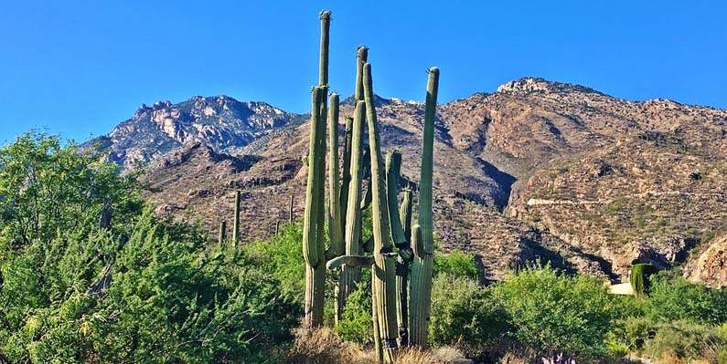 Phoenix, AZ, USA
