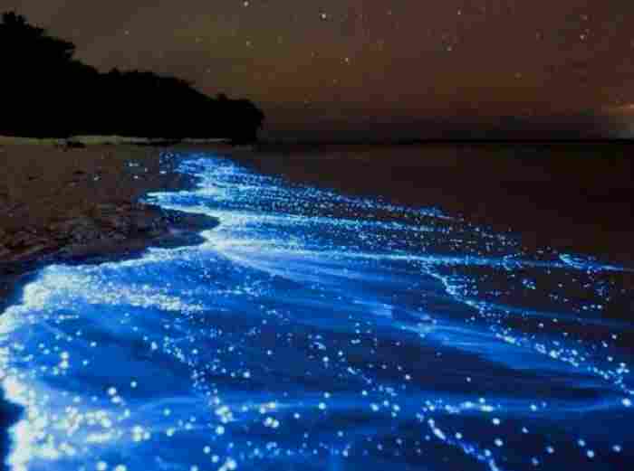 Sea of Stars, Vaadhoo Island, Maldives