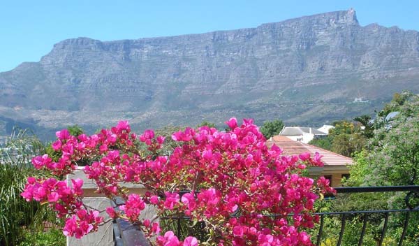 Tamboerskloof View - courtesy Poyser Guest Suites