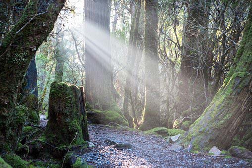 Tasmania