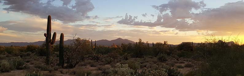 Tucson, AZ, USA