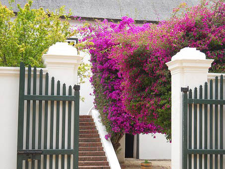 Cape Winelands, Western Cape, South Africa