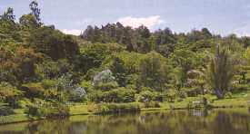 Eastern Highlands