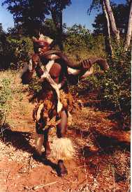 Horn Blower