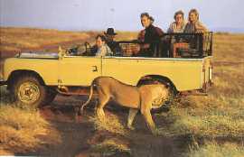 Hwange Game Drive