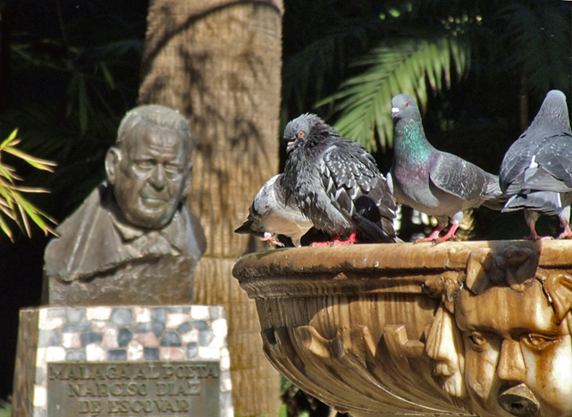 In the Malaga Botanical Gardens