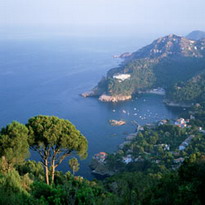 Aerial View / Vista area