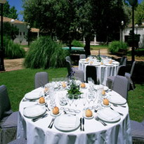 Outdoor Dining / Jardn preparado para celebracin