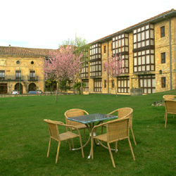 Garden / Jardin