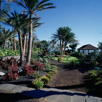 Garden / jardin