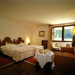 Room / habitacion