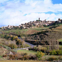 Vista