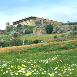 External views