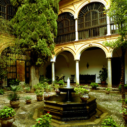 Outdoor Patio