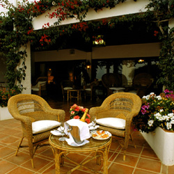 Terrace