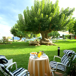 Gardens